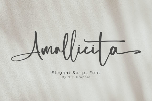 Amallicita: A Luxury Script Font for Modern Web Design