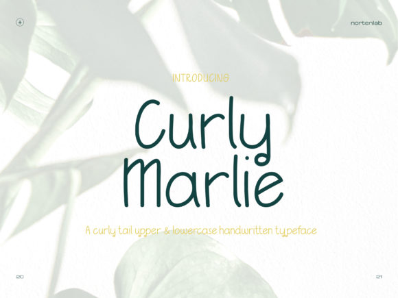 Curly Marlie: A Script Handwritten Font for Creative Makers