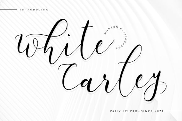 White Carley for Creative Web Design and Branding